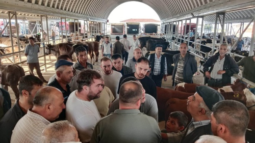 Keşan’da hastalık nedeniyle kapatılan canlı hayvan pazarı yeniden açıldı