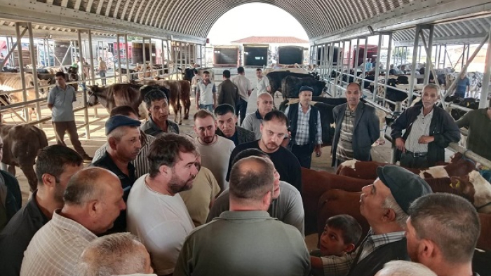 Keşan’da hastalık nedeniyle kapatılan canlı hayvan pazarı yeniden açıldı