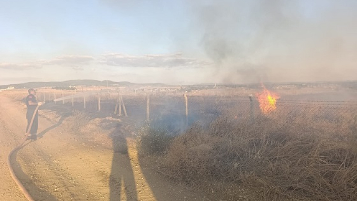 Keşan’da lavanta tarlası çıkan yangında kullanılamaz hale geldi