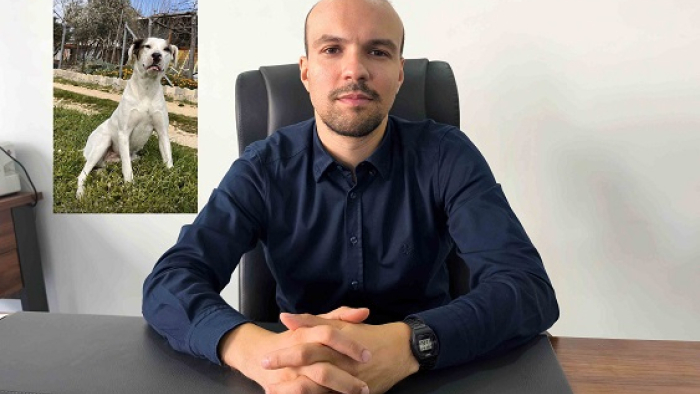 Mecidiye sahilinde av tüfeğiyle öldürülen ‘Sütlaç’ için savcılığa suç duyurusu