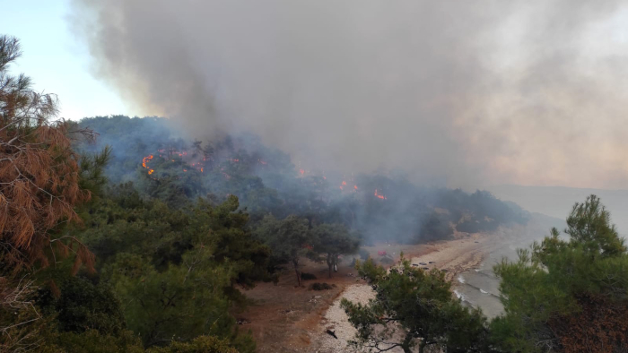Gökçetepe Sahili’nde orman yangını