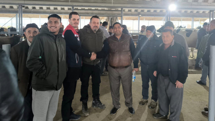 Büyükbaş hayvan pazarı hastalıkların ardından yeniden açıldı