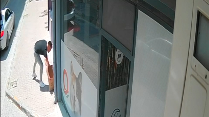 Keşan'da klinik önüne bırakıldığı kolide 1,5 saat güneş altında kalan köpek öldü