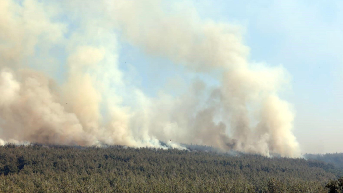Şarköy’de orman yangını 2'nci gününde