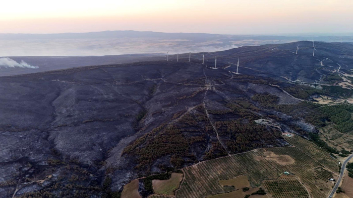 Şarköy’de orman yangını kontrol altına alındı