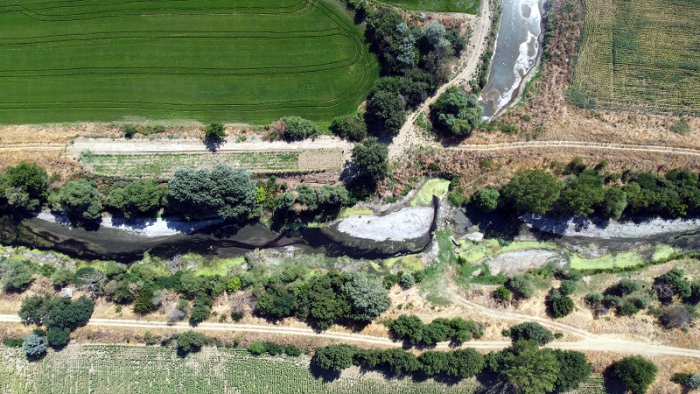 Çeltik üreticisini tedirgin eden kuraklık