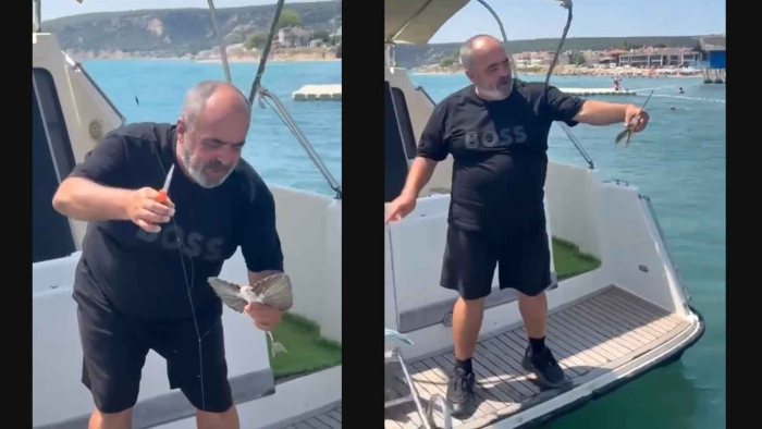 Saros’ta nadir görülen kırlangıç balığı oltasına takıldı