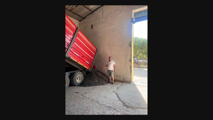 Keşan’da ayçiçeği hasadı başladı