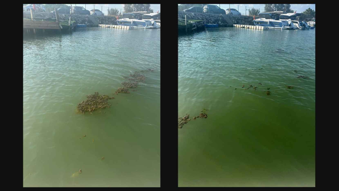 Erikli Sahili’nde insan sağlığını tehdit eden görüntüler