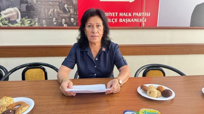 CHP’li Gegeoğlu: Kadın cinayetleri münferit değil, politiktir