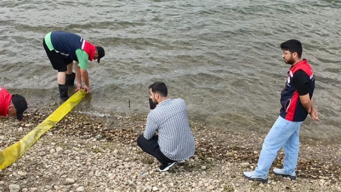 İpsala’da üretilen 3 milyon adet pullu sazan yavrusu, göl ve göletlere bırakıldı