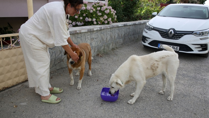 Cebeci’den esnaf ve vatandaşlara ‘Bir kap su’ çağrısı
