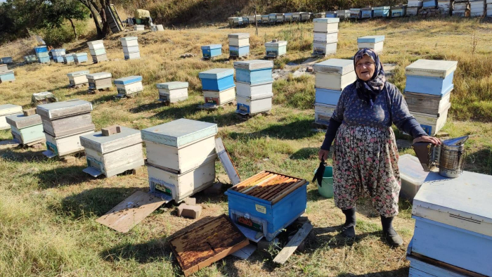 Keşan’da arı kovanları kontrol edildi, arıcılar bilgilendirildi