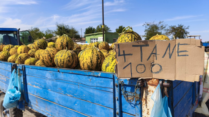 Kurt ve Aliş: Kavunda verimde yok, fiyatta!