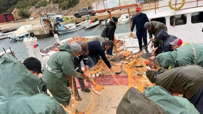 Mecidiye’de yıllar sonra kara kefal bereketi