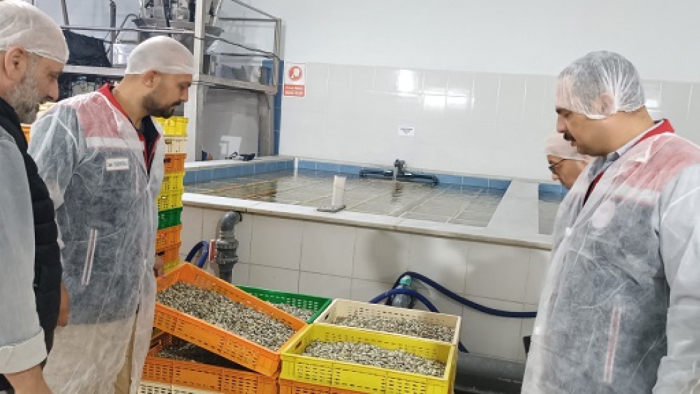Enez’de kabuklu su ürünleri işleme tesislerine denetim