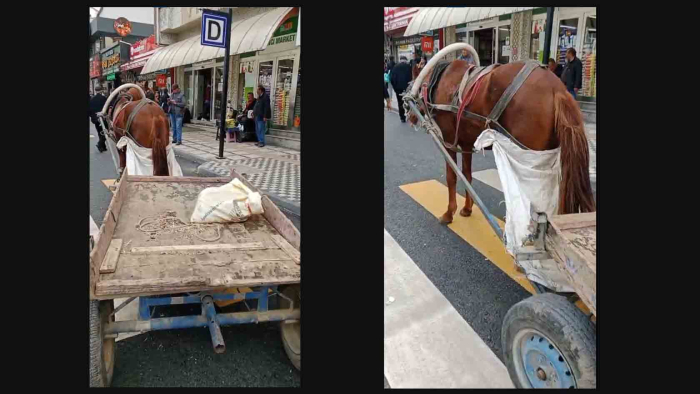 Keşan’da yaya geçidine park edilen at arabasının sahibine 993 TL ceza
