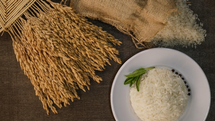 İpsala pirinci, AB Coğrafi İşaret Tescili aldı