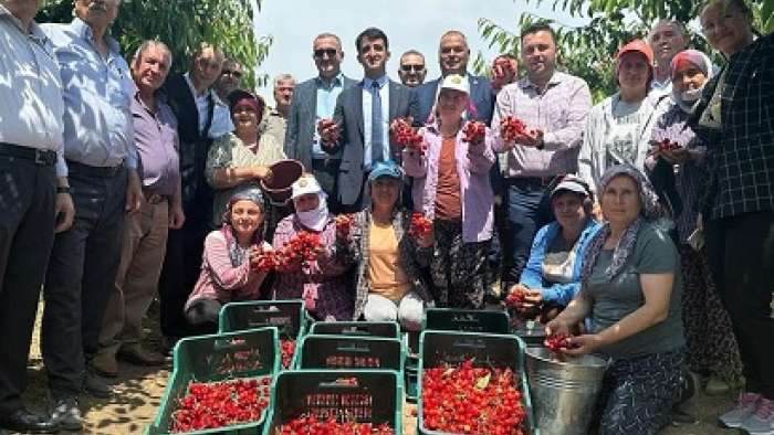 Enez’den Avrupa’ya ihraç edilen ‘Çeribaşı kirazı’ coğrafi işaret tescili aldı