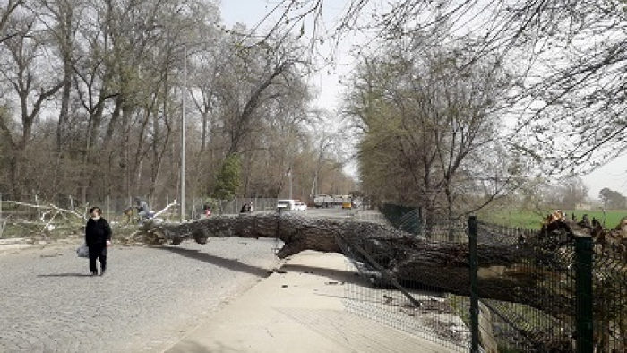 Dikkat..! Yarın fırtına geliyor