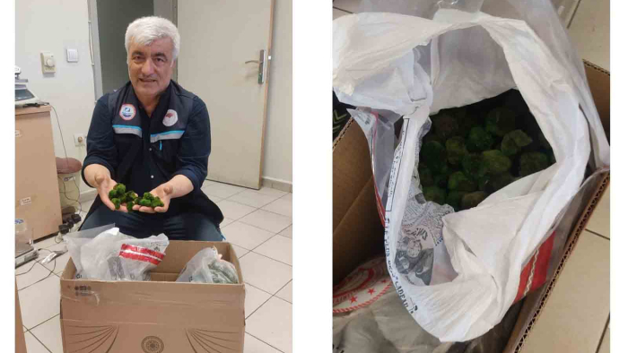 Kapıkule’de yolcu otobüsünde 2 bin 125 adet canlı yeşil alg ele geçirildi