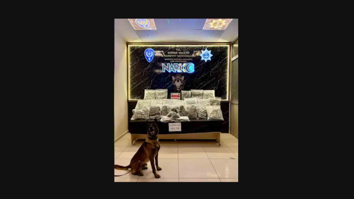 Kapıkule’de 23 kilo skunk ele geçirildi