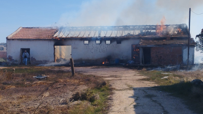 Çeltik saplarını yakmak isterken 15 ton buğday ve 500 balya samanı kül ettiler